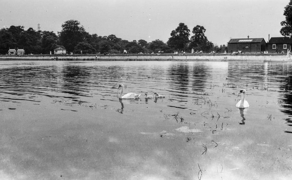 1960'S Ruislip Lido 6