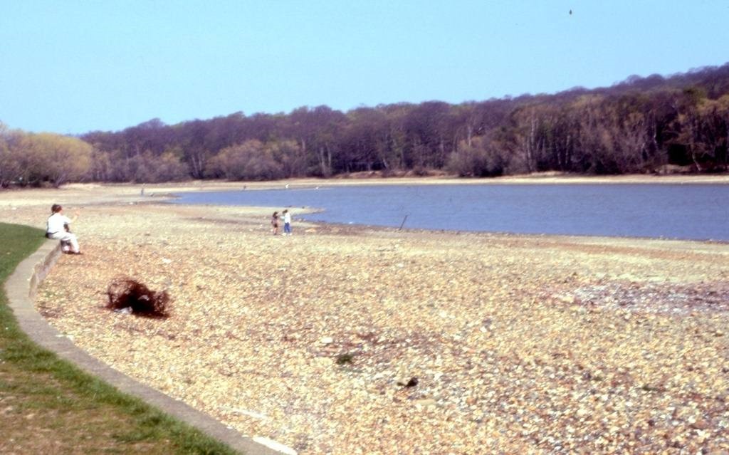 Drought At Ruislip Lido 1