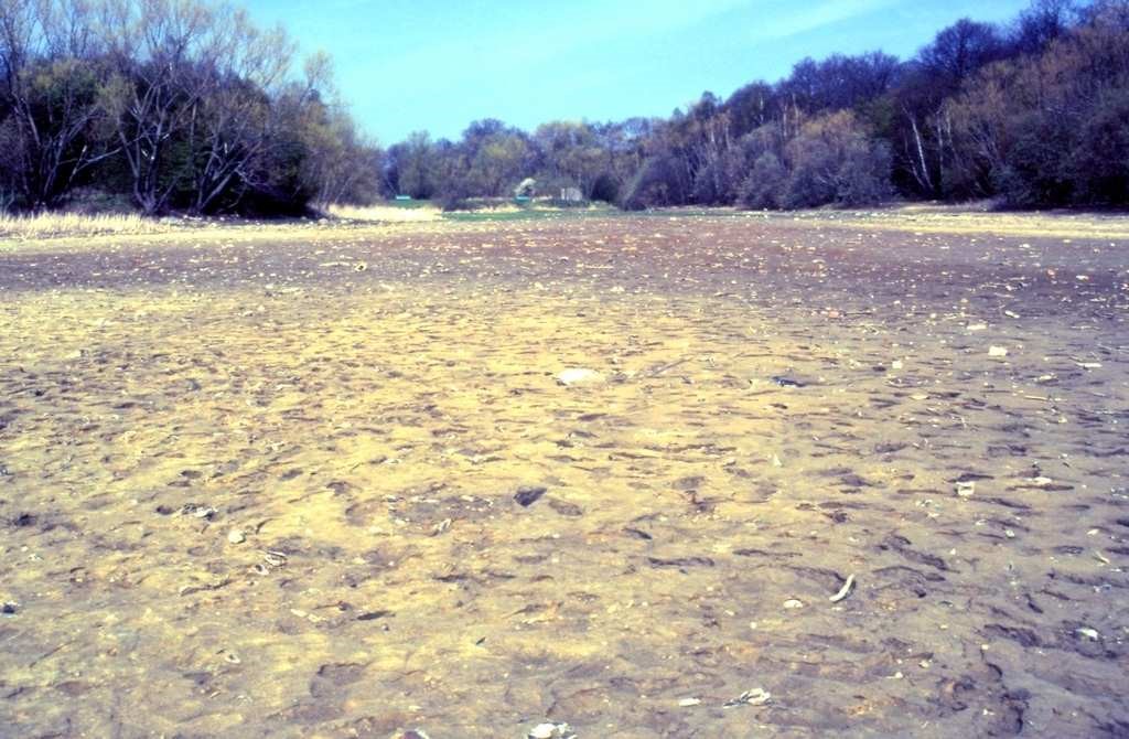 Drought At Ruislip Lido April 1990 3