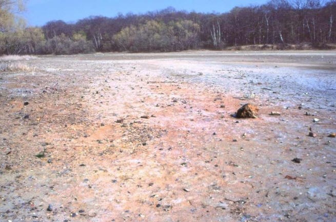 Drought At Ruislip Lido April 1990 1