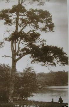 Ruislip Reservoir Post Card 18