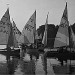 Sailing Boats On Ruislip Lido