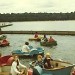 The Paddle Boats At Ruislip Lido